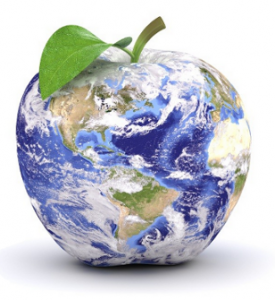 Logistics Warehousing Consultants Norfolk