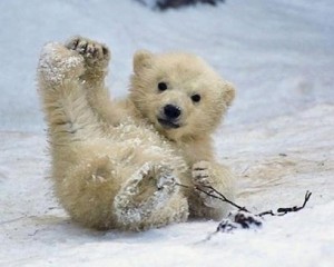 Logistics Warehousing Consultants Norfolk